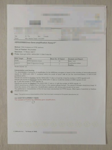 HER2 STATUS REPORT