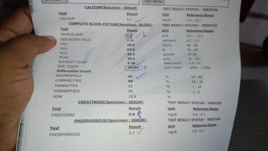 Blood culture