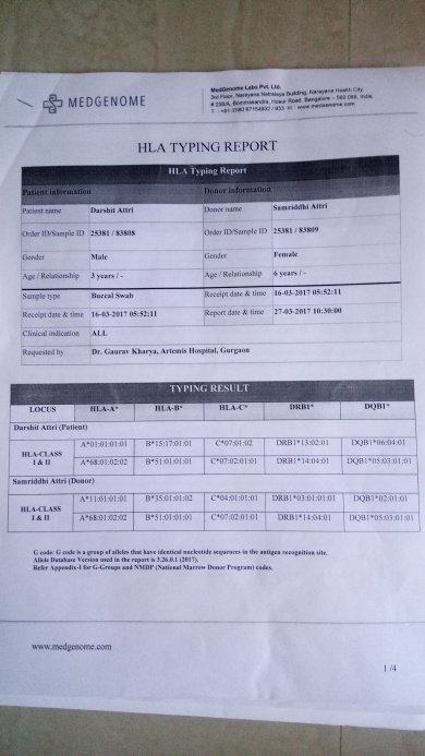 HLA report 1