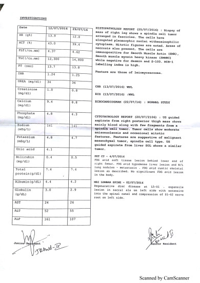 Investigation Report
