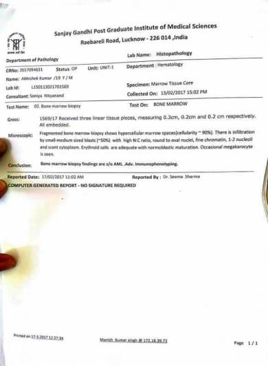 Bone Marrow Test