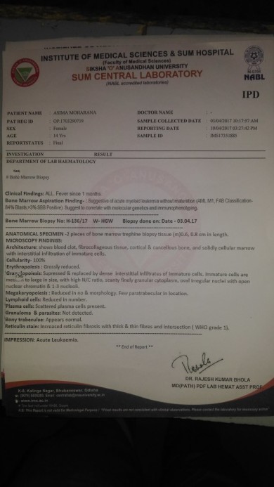 Bone Marrow Report