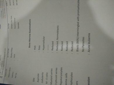 Her report showing her risk
