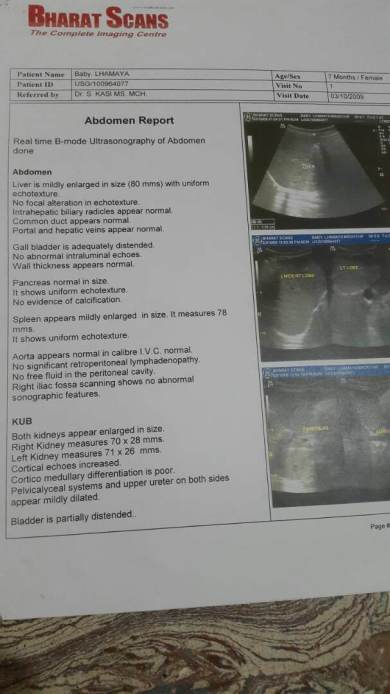 Abdomen report