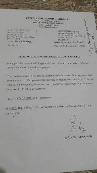 Bone marrow aspiration cytology report
