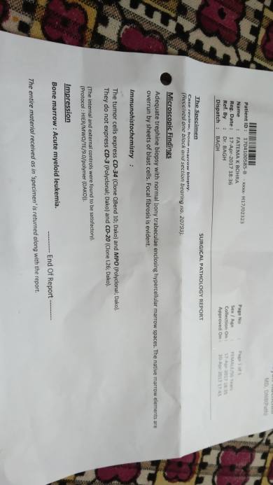Bone marrow test report