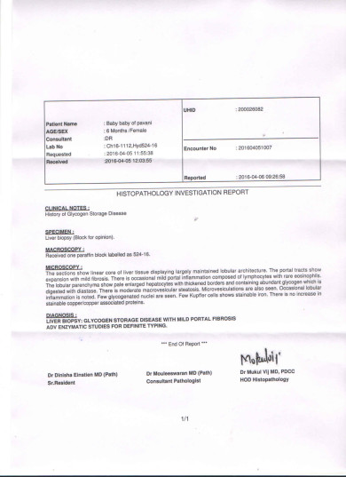 Liver Biopsy Report