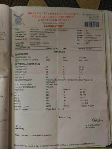 Medical report 2