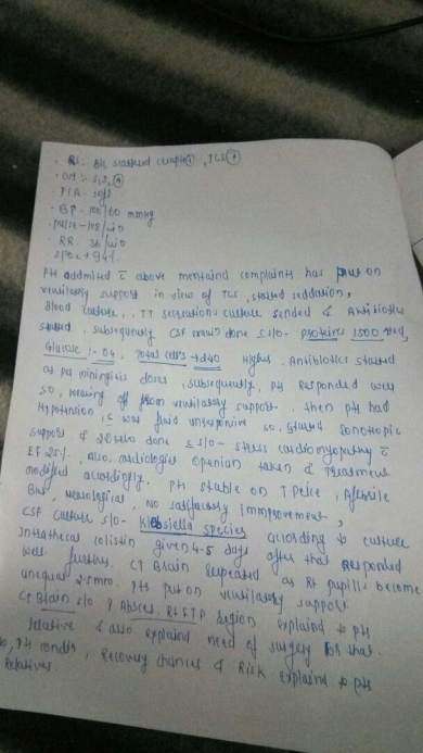 Case Summary Page 2