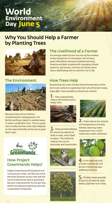 Help a farmer, Plant Trees