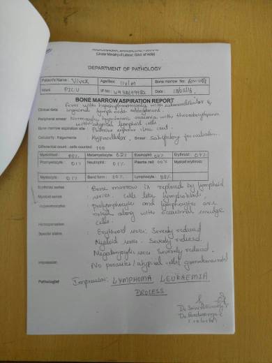 Test Reports