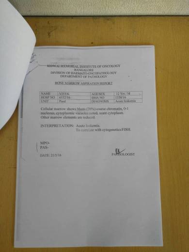 Test Reports