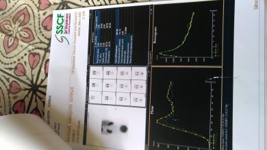 renogram report 1