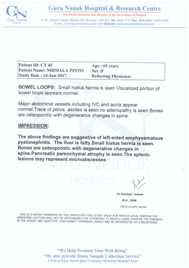 Abdomen and Pelvis Scan Report