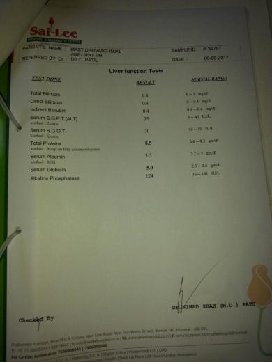 REPORT