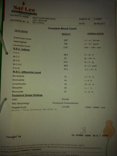 REPORT