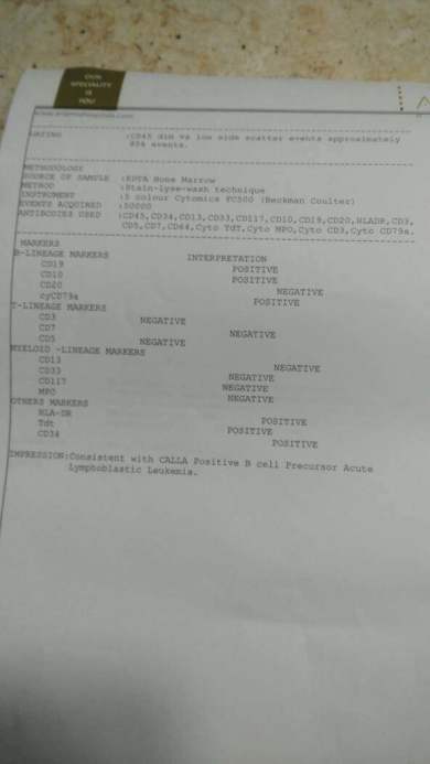 Reports