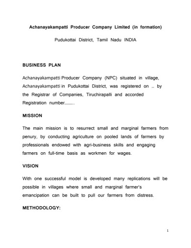 Business Plan of our Project
