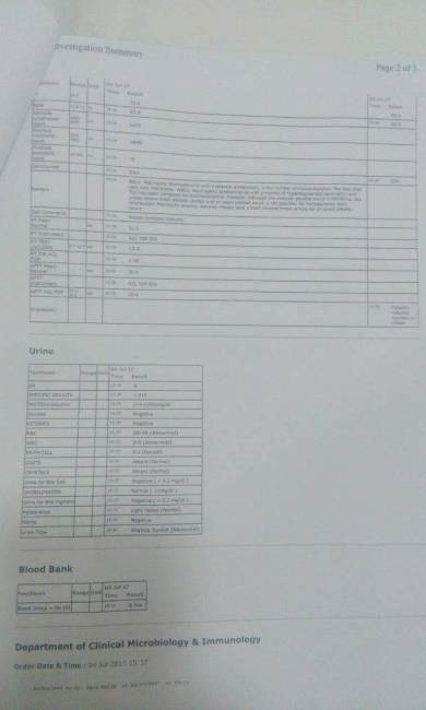 Investigation Summary_2