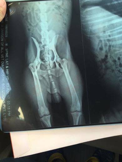 Xray