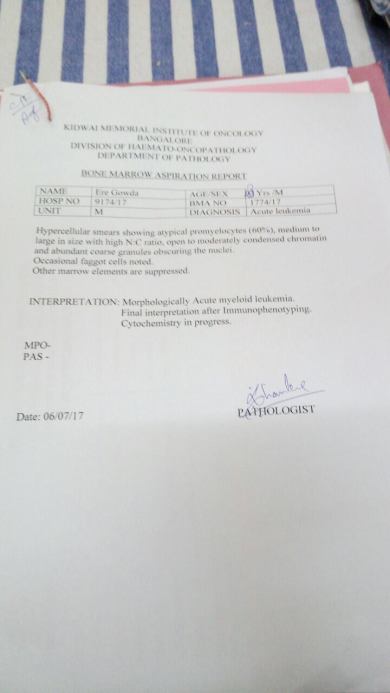 Bone Marrow test report