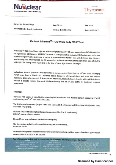 Pet Scan Report