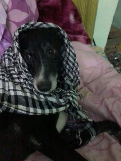 Sophie, foundation of the trust. RIP