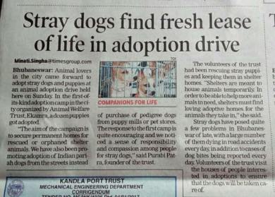 Media coverage on shelter dogs adoption drive