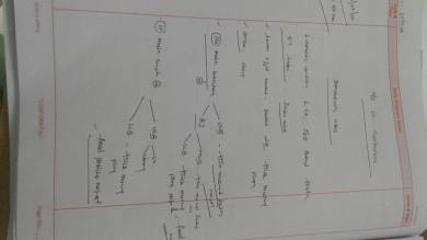 Daily progress, doctor reports