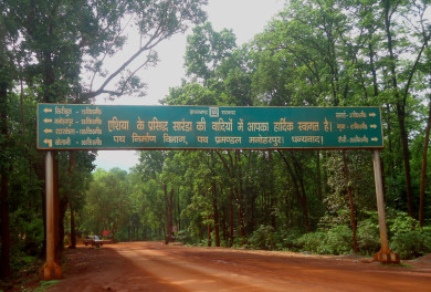सारंडा वन क्षेत्र प्रवेश करने का रास्ता