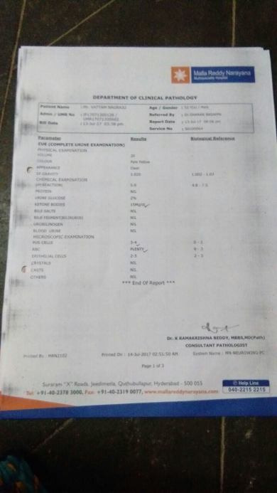 Report