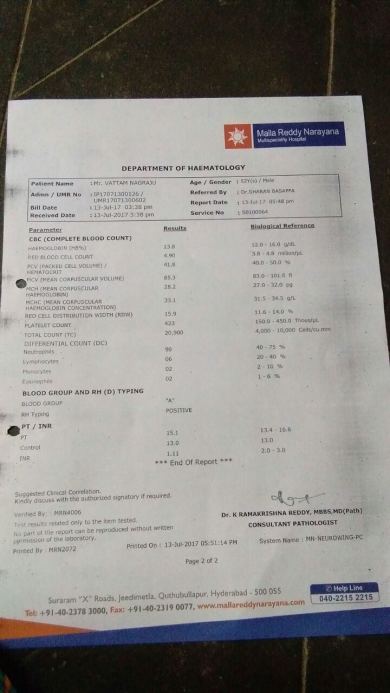 Report 5