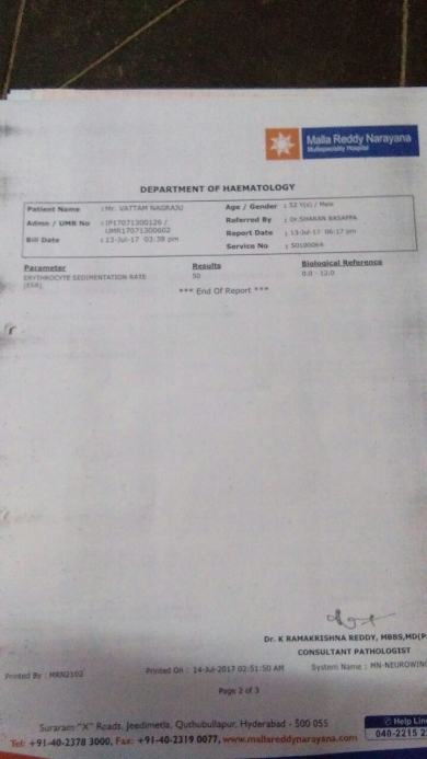 Report 6