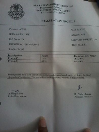 Report
