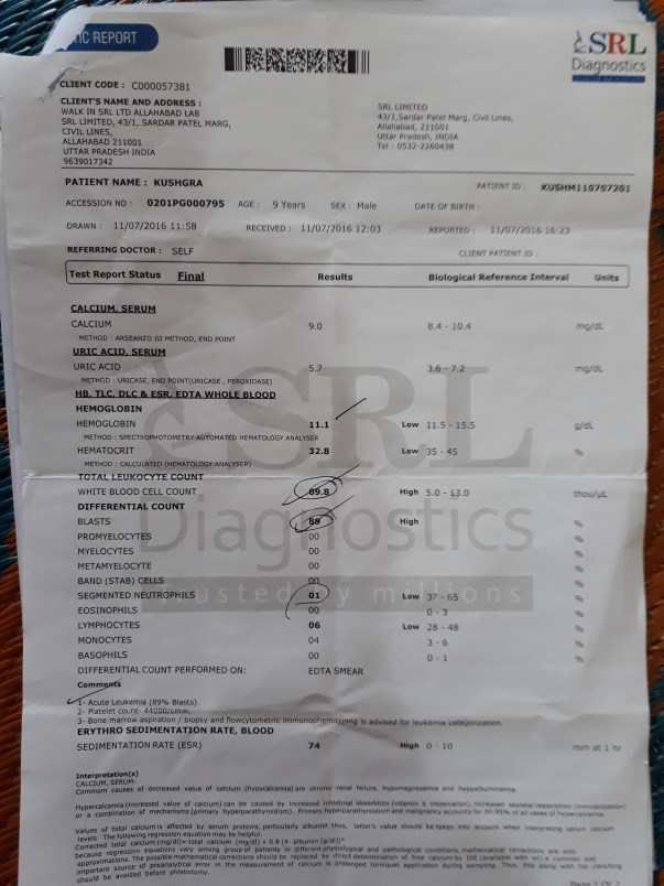 Blood Test Report.