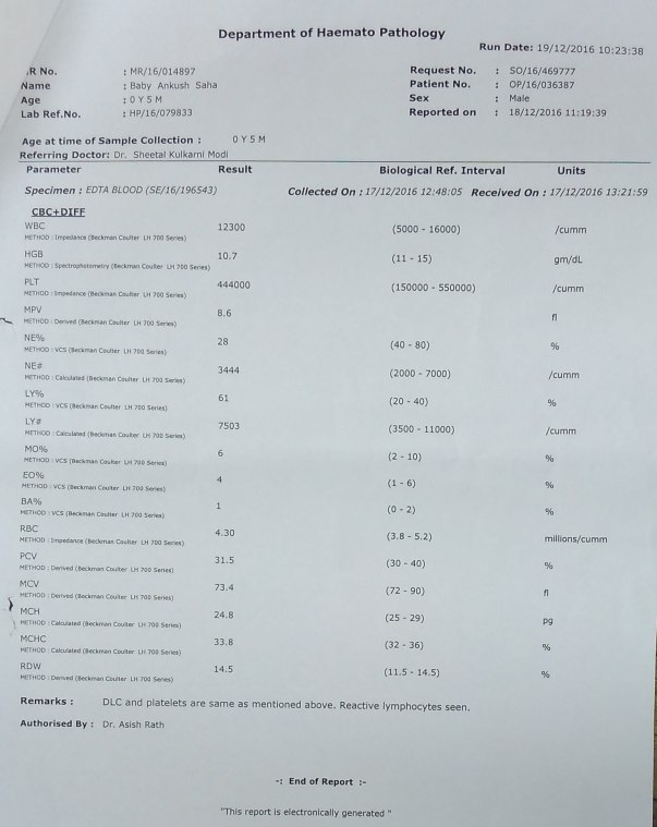 Report
