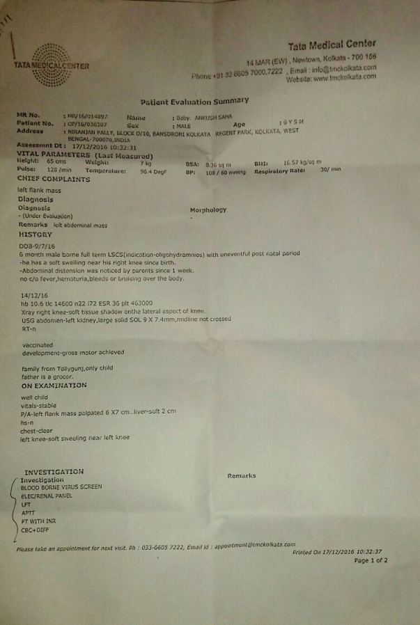 Initial Report