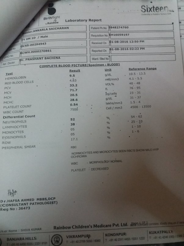 laboratory report