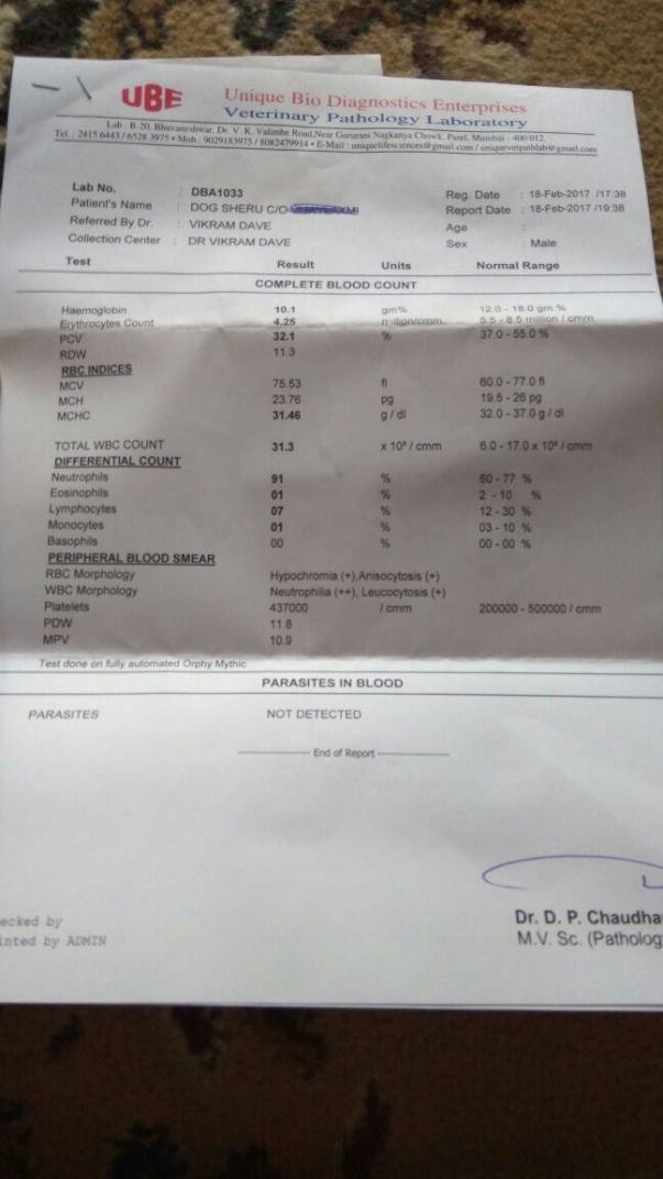 Blood report