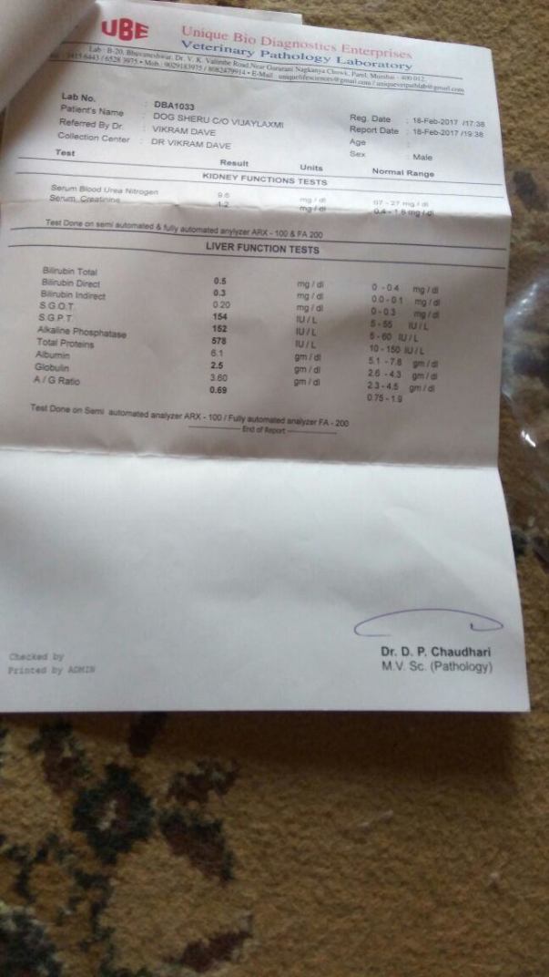 Blood test 2nd page