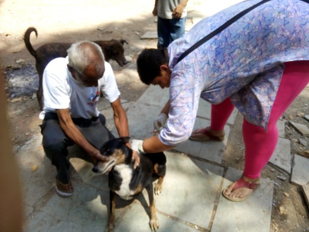 Vaccination Drive