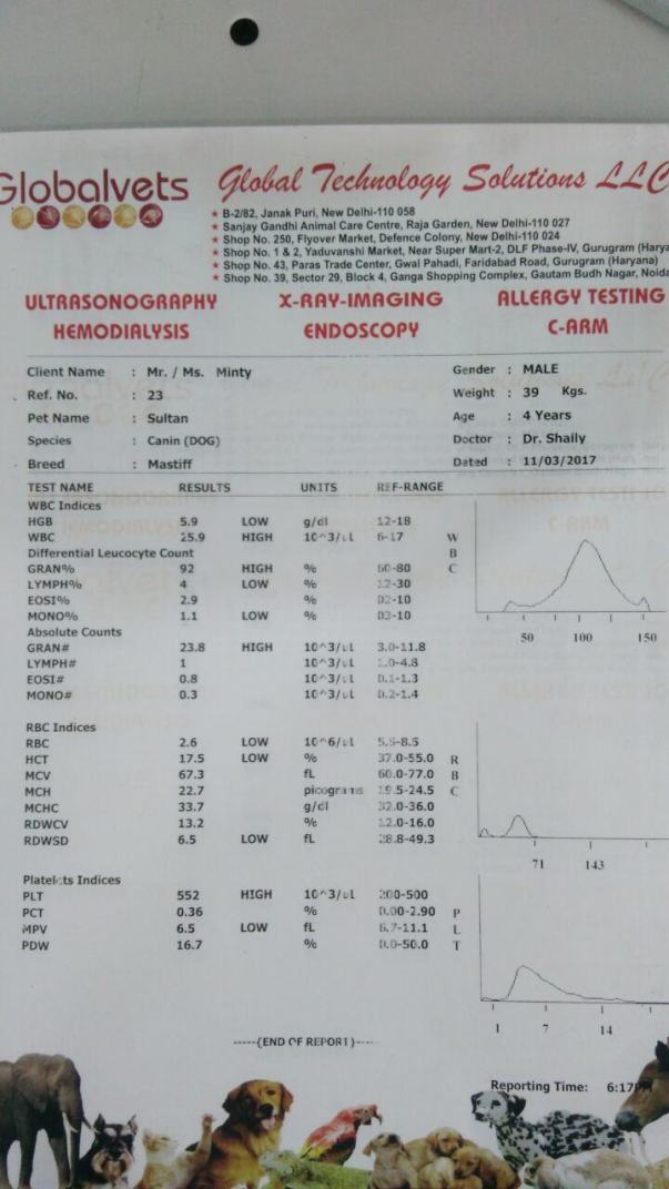 Sultan's medical report