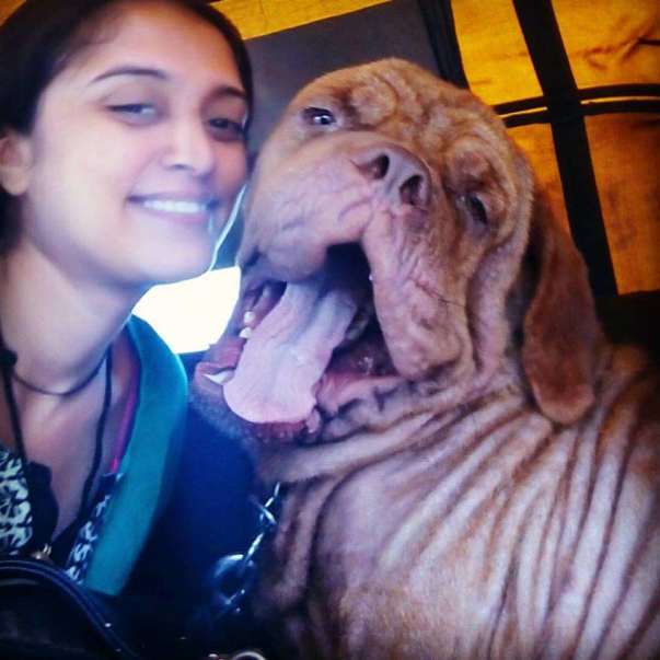 Sultan with his foster mom ! Please help sultan be happy again !
