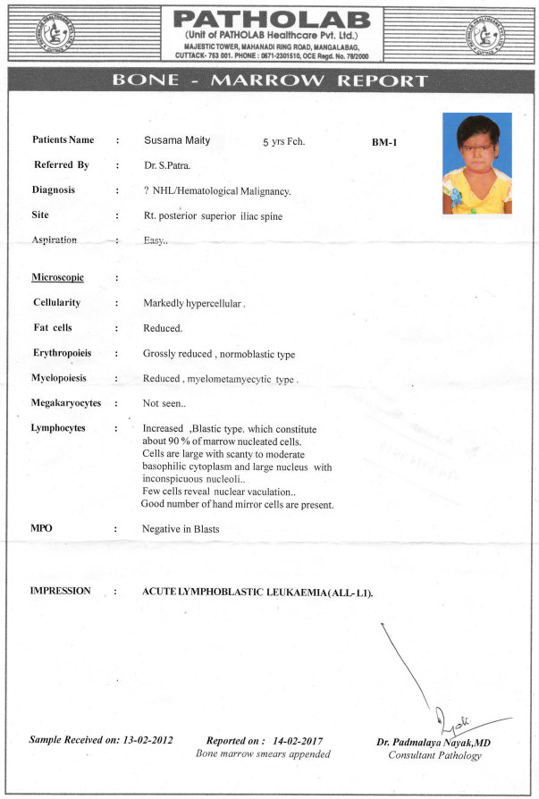 Bone Marrow Report