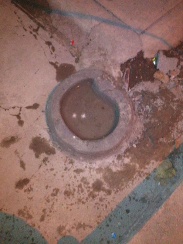 New water bowls made for summer