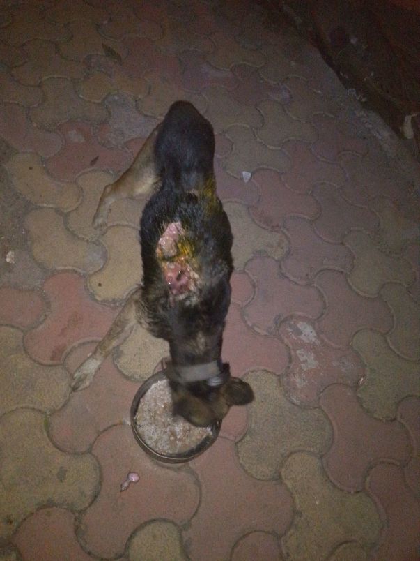 Holi Burns case being treated on the spot