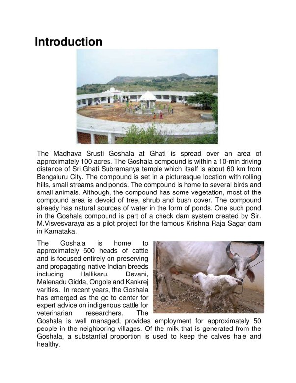 Project Report Page 2