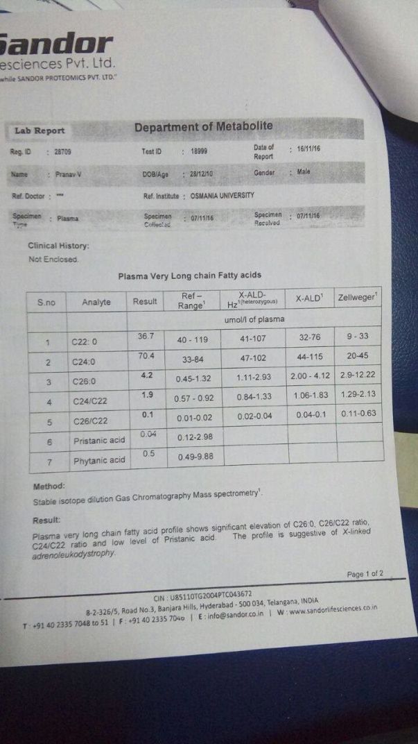 Gas Chromatography Report