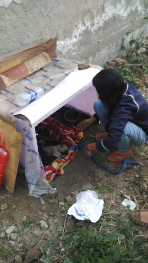 Shelter home