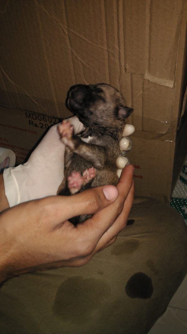 Only 3 days old